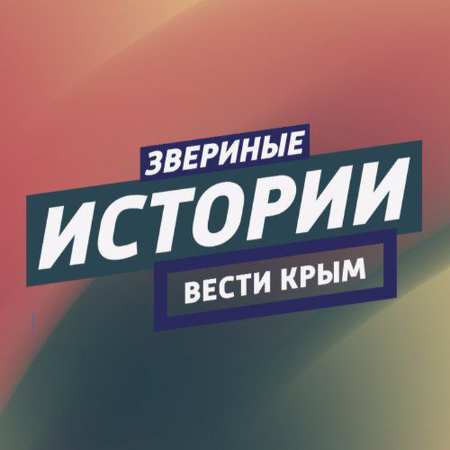 Звериные истории