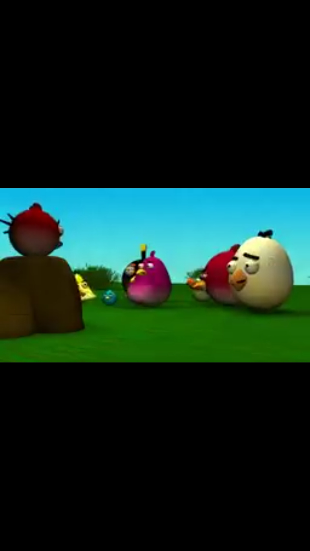 Angry birds hungry hungry pigs 3d animation